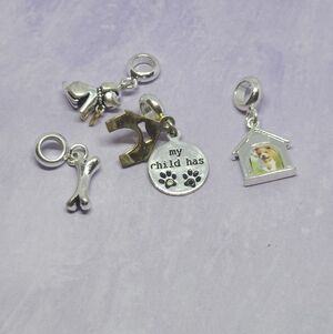 DaVinci Set Of 4 Dog Themed Silver Tone Charms